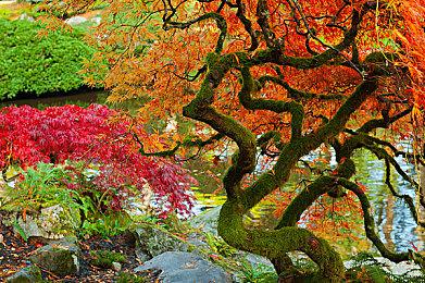 中世纪铁匠模拟游戏《铁匠大师》Steam特别好评